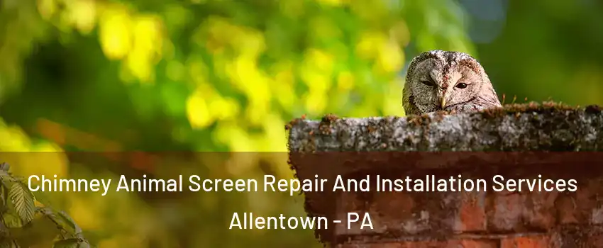 Chimney Animal Screen Repair And Installation Services Allentown - PA