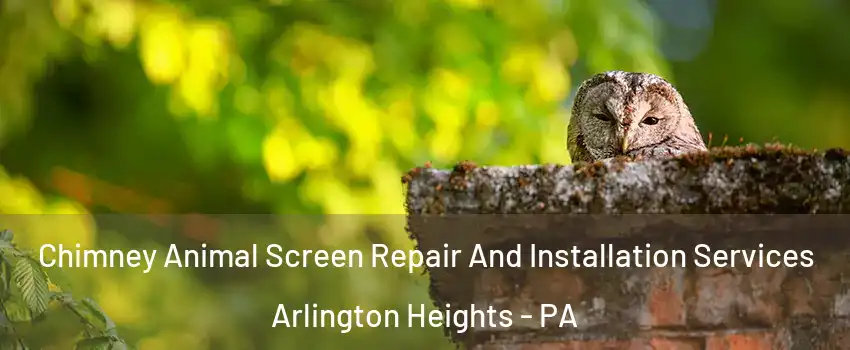 Chimney Animal Screen Repair And Installation Services Arlington Heights - PA