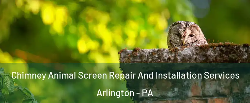 Chimney Animal Screen Repair And Installation Services Arlington - PA