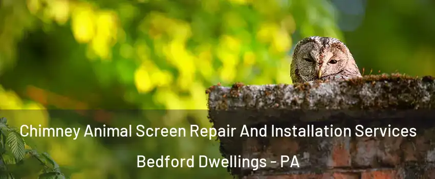 Chimney Animal Screen Repair And Installation Services Bedford Dwellings - PA