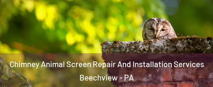 Chimney Animal Screen Repair And Installation Services Beechview - PA