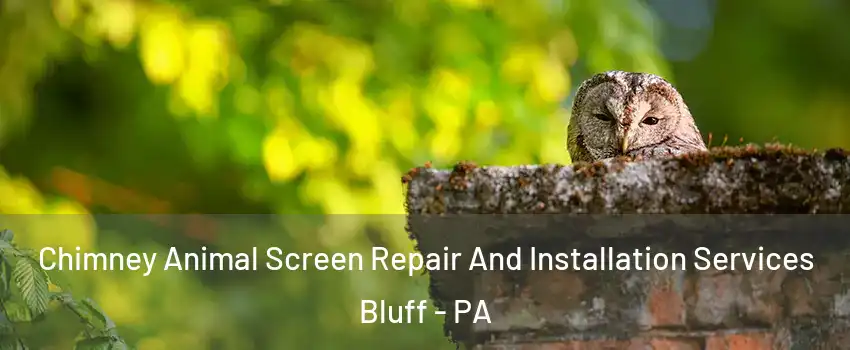 Chimney Animal Screen Repair And Installation Services Bluff - PA