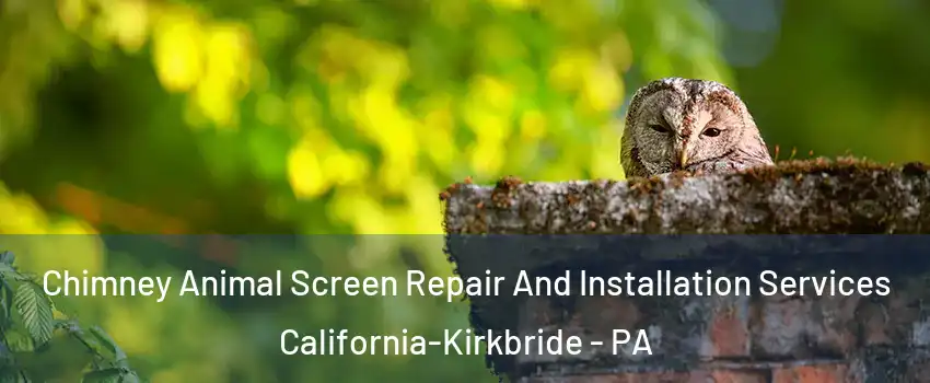 Chimney Animal Screen Repair And Installation Services California-Kirkbride - PA