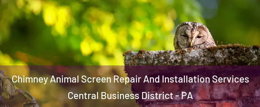 Chimney Animal Screen Repair And Installation Services Central Business District - PA