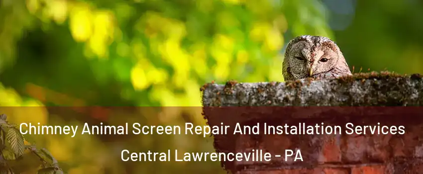 Chimney Animal Screen Repair And Installation Services Central Lawrenceville - PA