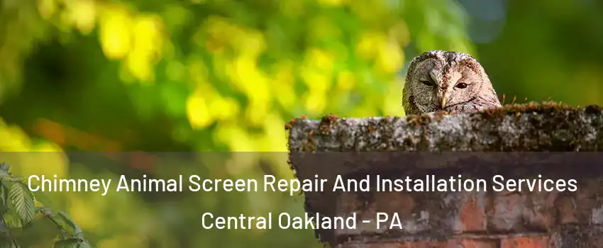 Chimney Animal Screen Repair And Installation Services Central Oakland - PA