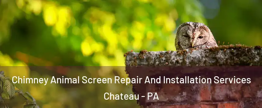Chimney Animal Screen Repair And Installation Services Chateau - PA