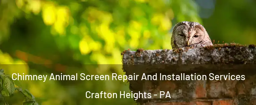Chimney Animal Screen Repair And Installation Services Crafton Heights - PA