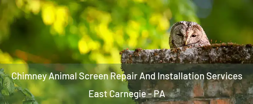 Chimney Animal Screen Repair And Installation Services East Carnegie - PA