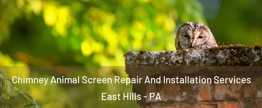 Chimney Animal Screen Repair And Installation Services East Hills - PA