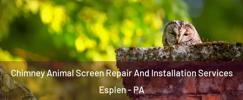 Chimney Animal Screen Repair And Installation Services Esplen - PA