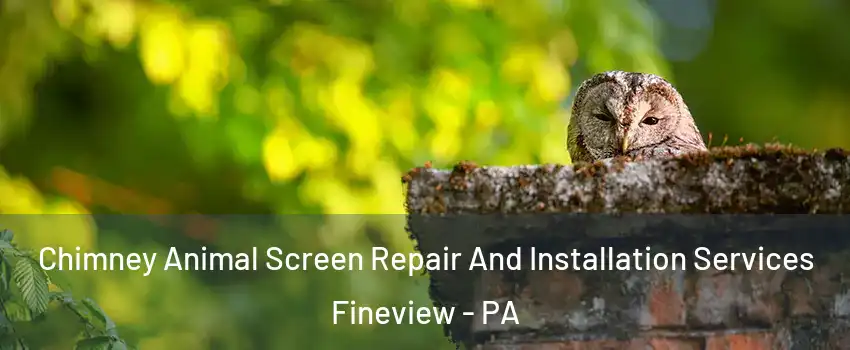 Chimney Animal Screen Repair And Installation Services Fineview - PA