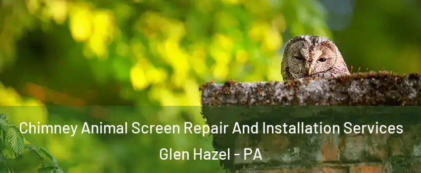 Chimney Animal Screen Repair And Installation Services Glen Hazel - PA