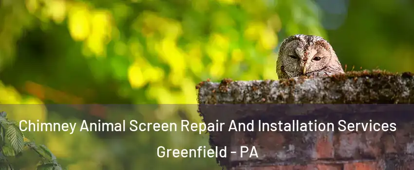 Chimney Animal Screen Repair And Installation Services Greenfield - PA