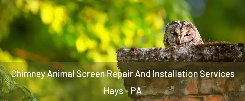 Chimney Animal Screen Repair And Installation Services Hays - PA
