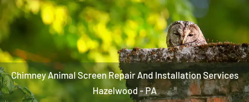 Chimney Animal Screen Repair And Installation Services Hazelwood - PA