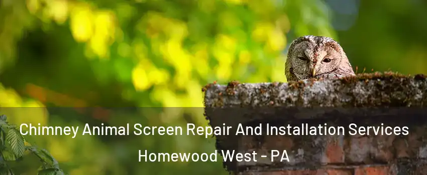 Chimney Animal Screen Repair And Installation Services Homewood West - PA