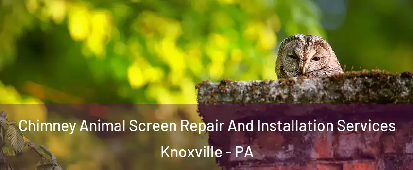 Chimney Animal Screen Repair And Installation Services Knoxville - PA