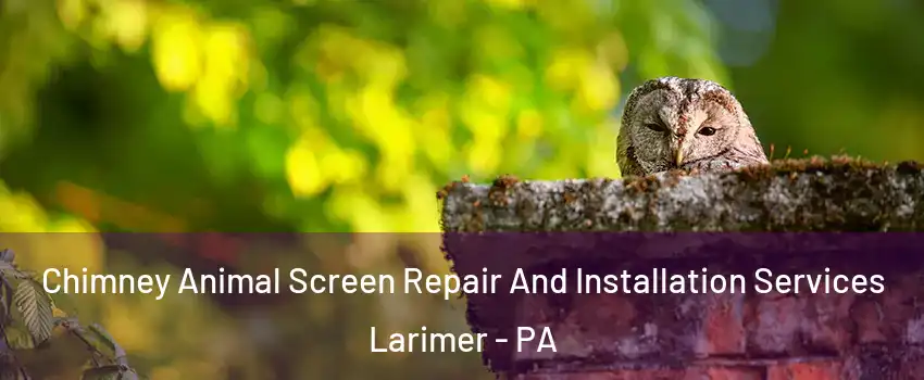 Chimney Animal Screen Repair And Installation Services Larimer - PA
