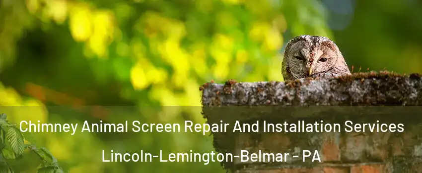 Chimney Animal Screen Repair And Installation Services Lincoln-Lemington-Belmar - PA