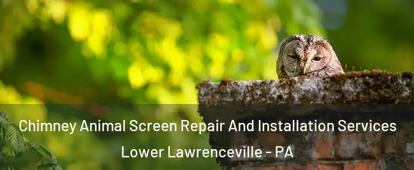 Chimney Animal Screen Repair And Installation Services Lower Lawrenceville - PA