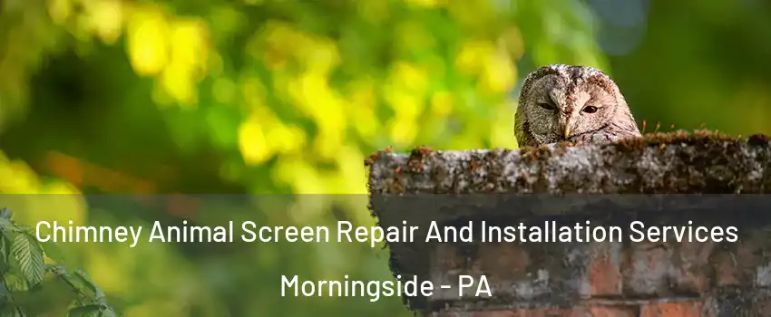 Chimney Animal Screen Repair And Installation Services Morningside - PA