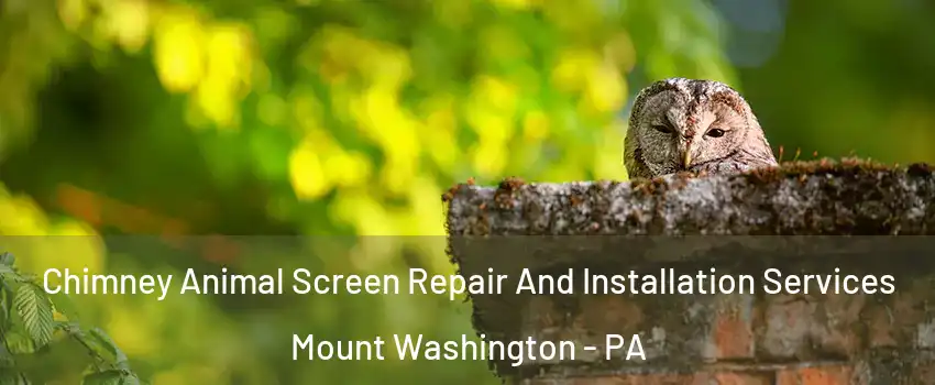 Chimney Animal Screen Repair And Installation Services Mount Washington - PA