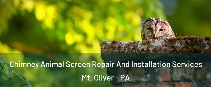 Chimney Animal Screen Repair And Installation Services Mt. Oliver - PA