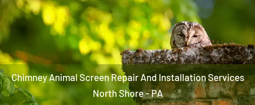 Chimney Animal Screen Repair And Installation Services North Shore - PA