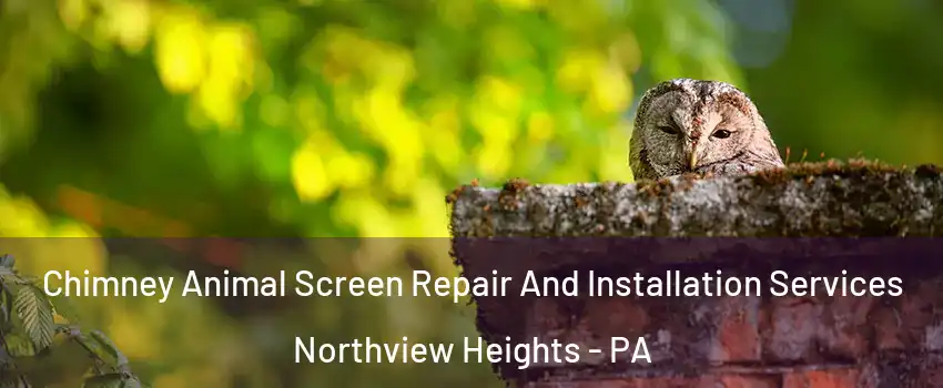 Chimney Animal Screen Repair And Installation Services Northview Heights - PA