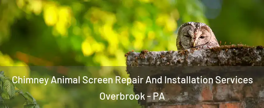 Chimney Animal Screen Repair And Installation Services Overbrook - PA