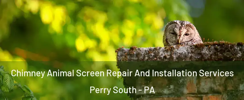 Chimney Animal Screen Repair And Installation Services Perry South - PA