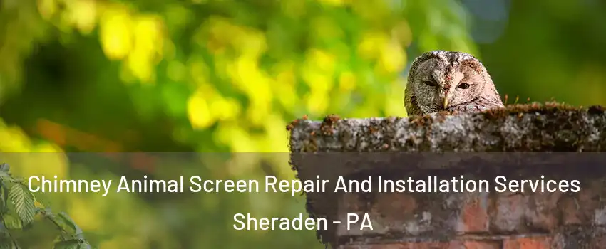 Chimney Animal Screen Repair And Installation Services Sheraden - PA