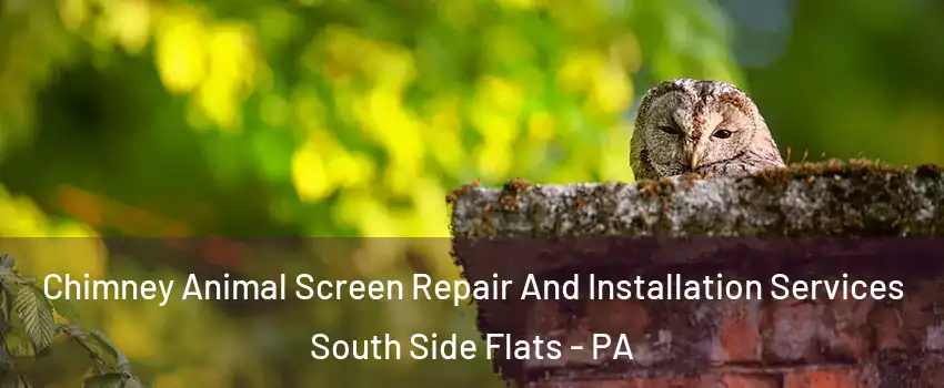 Chimney Animal Screen Repair And Installation Services South Side Flats - PA