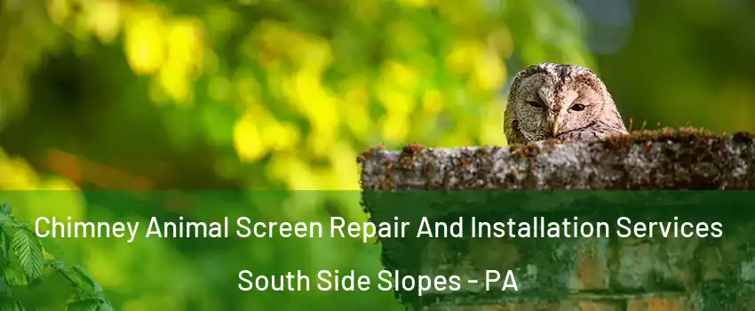 Chimney Animal Screen Repair And Installation Services South Side Slopes - PA