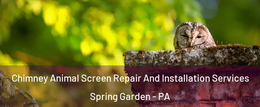 Chimney Animal Screen Repair And Installation Services Spring Garden - PA