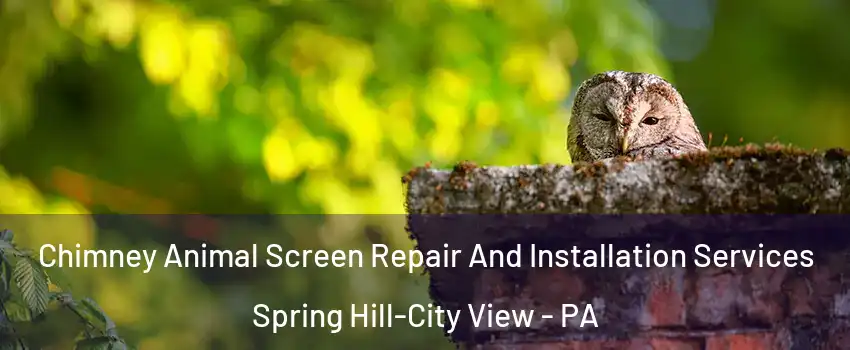 Chimney Animal Screen Repair And Installation Services Spring Hill-City View - PA