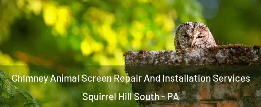 Chimney Animal Screen Repair And Installation Services Squirrel Hill South - PA