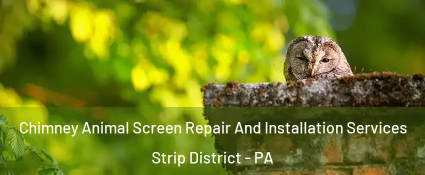 Chimney Animal Screen Repair And Installation Services Strip District - PA