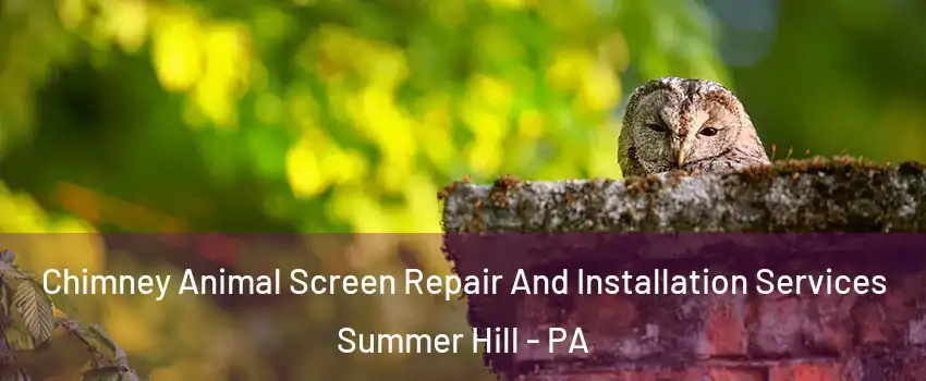 Chimney Animal Screen Repair And Installation Services Summer Hill - PA