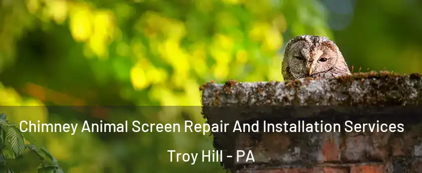 Chimney Animal Screen Repair And Installation Services Troy Hill - PA
