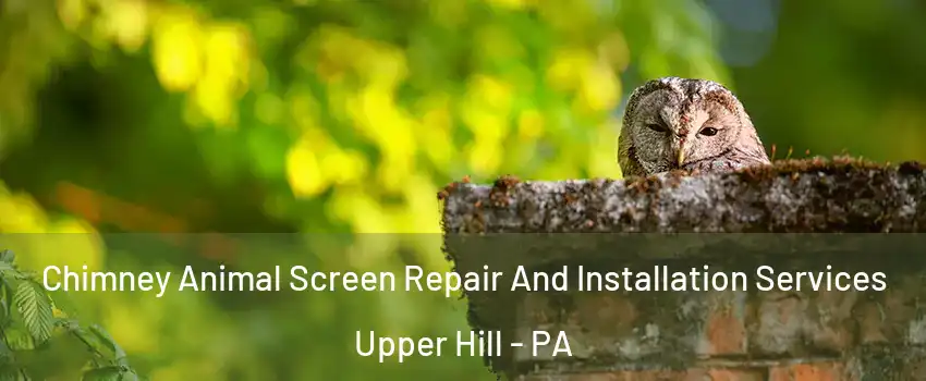 Chimney Animal Screen Repair And Installation Services Upper Hill - PA