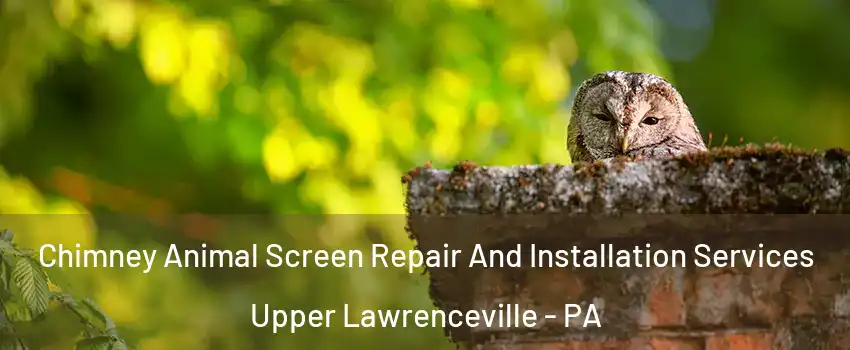 Chimney Animal Screen Repair And Installation Services Upper Lawrenceville - PA