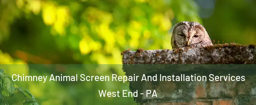 Chimney Animal Screen Repair And Installation Services West End - PA