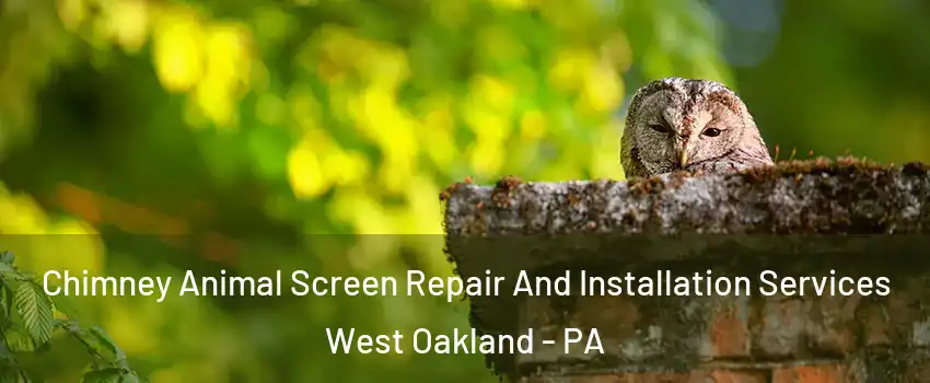 Chimney Animal Screen Repair And Installation Services West Oakland - PA