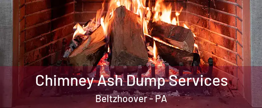 Chimney Ash Dump Services Beltzhoover - PA