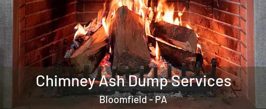 Chimney Ash Dump Services Bloomfield - PA
