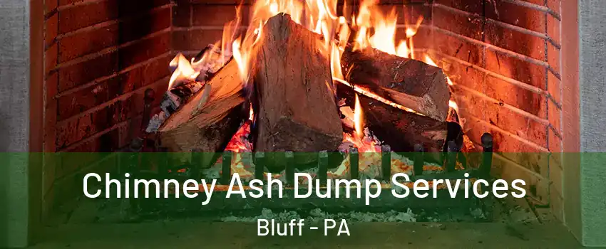 Chimney Ash Dump Services Bluff - PA