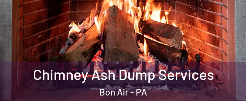 Chimney Ash Dump Services Bon Air - PA