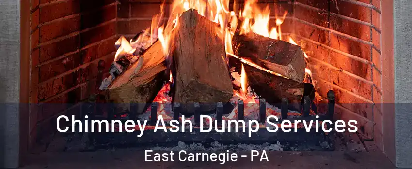 Chimney Ash Dump Services East Carnegie - PA